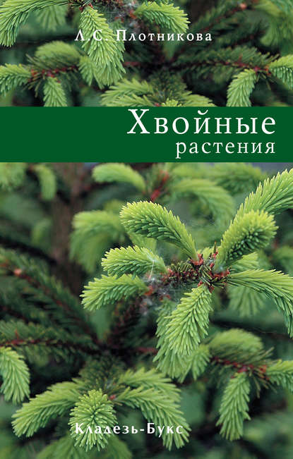 Л. С. Плотникова — Хвойные растения