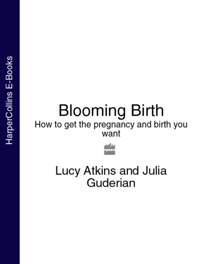 Lucy  Atkins - Blooming Birth: How to get the pregnancy and birth you want