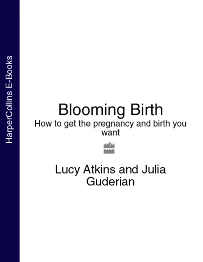 Обложка книги Blooming Birth: How to get the pregnancy and birth you want, Lucy  Atkins