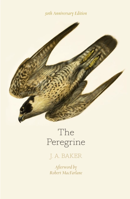 Обложка книги The Peregrine: 50th Anniversary Edition: Afterword by Robert Macfarlane, Robert  MacFarlane