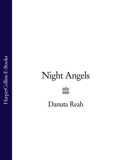 Night Angels (Danuta  Reah). 