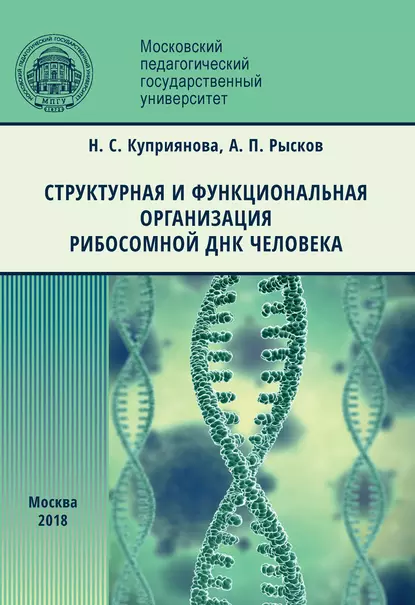 Обложка книги Структурная и функциональная организация рибосомной ДНК человека, Н. С. Куприянова