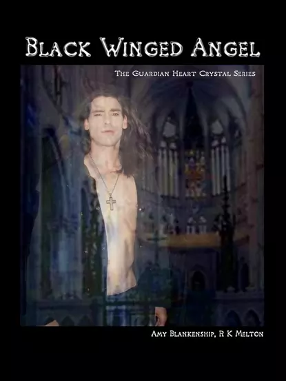 Обложка книги Black Winged Angel, Amy Blankenship