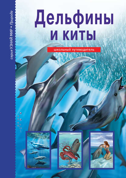 Дельфины и киты : Дунаева Юлия