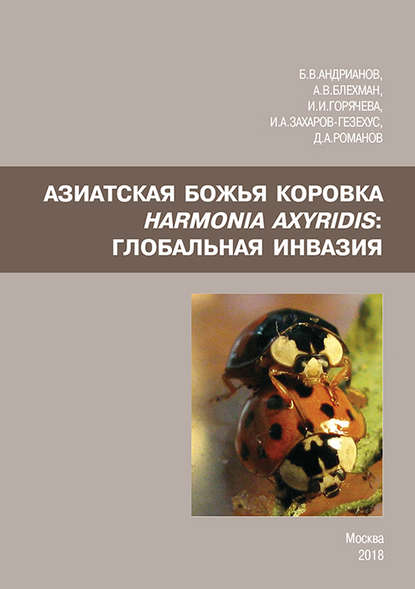    Harmonia axyridis:  