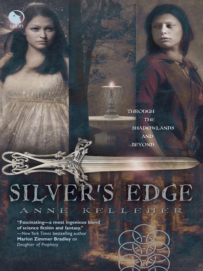 Anne  Kelleher - Silver's Edge