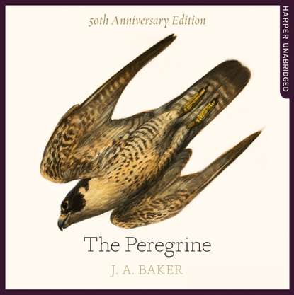 J. A. Baker - Peregrine: 50th Anniversary Edition