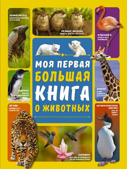 Д. И. Ермакович - Моя первая большая книга о животных