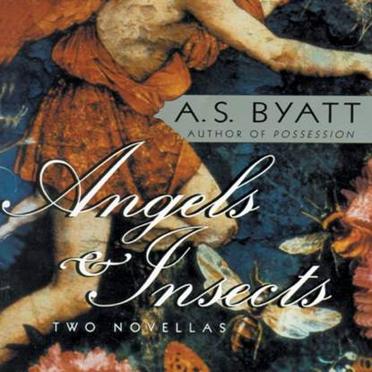 

Angels & Insects