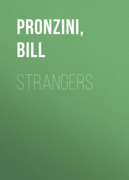 Bill Pronzini — Strangers