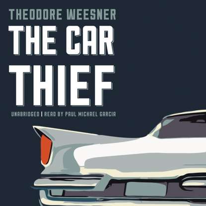 

Car Thief