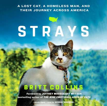 Britt Collins - Strays