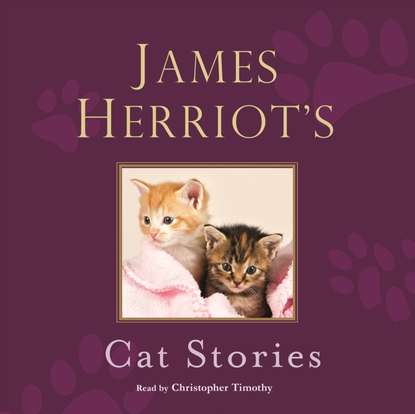 Ксюша Ангел - James Herriot's Cat Stories