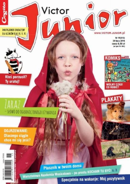 

Victor Junior nr 15 (313)