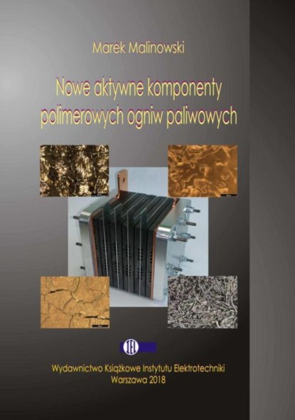 Marek Malinowski - Nowe aktywne komponenty polimerowych ogniw paliwowych