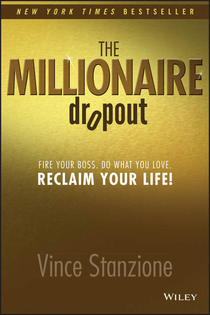 Vince  Stanzione - The Millionaire Dropout