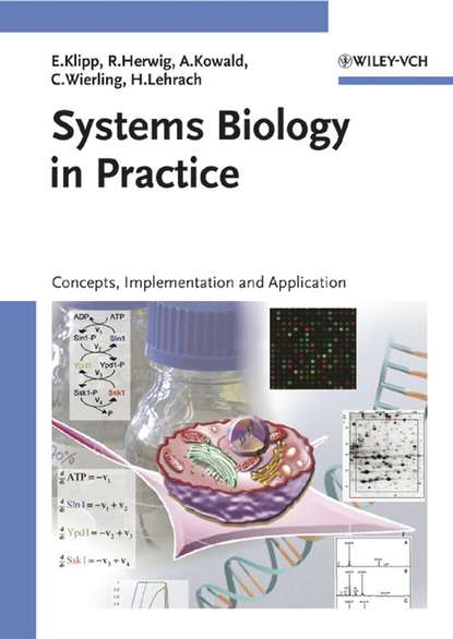 Edda  Klipp - Systems Biology in Practice