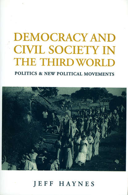 Группа авторов - Democracy and Civil Society in the Third World