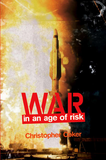 War in an Age of Risk - Группа авторов