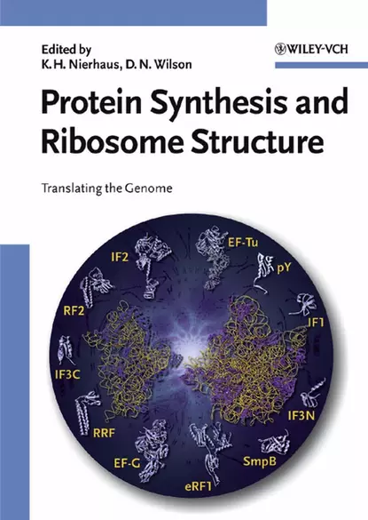 Обложка книги Protein Synthesis and Ribosome Structure, Daniel  Wilson