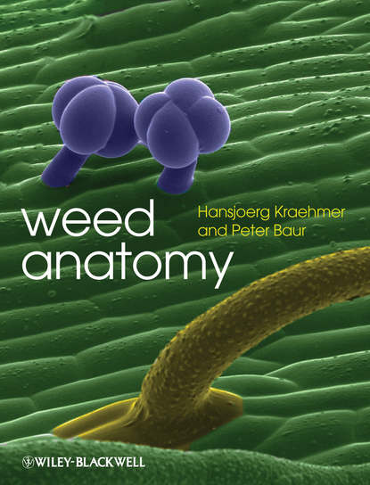 Weed Anatomy - Hansjoerg  Kraehmer
