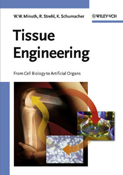 Tissue Engineering (Raimund  Strehl). 