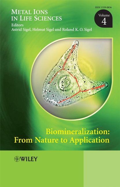 Biomineralization (Helmut  Sigel). 