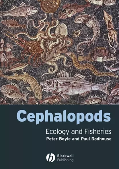 Обложка книги Cephalopods, Peter  Boyle