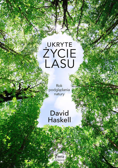 David Haskell - Ukryte życie lasu