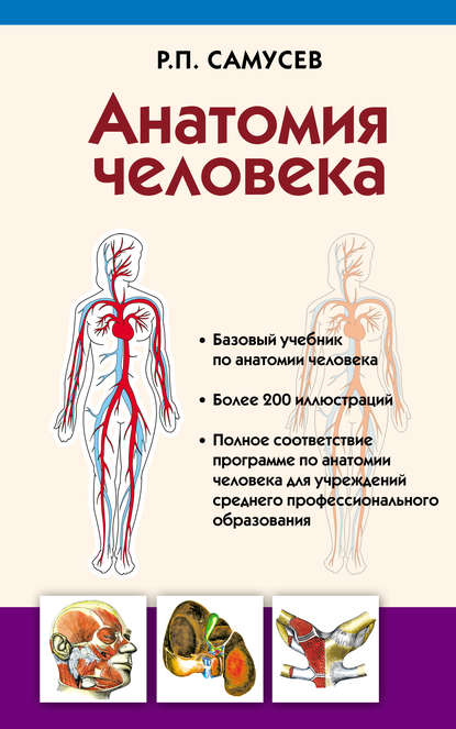 Р. П. Самусев — Анатомия человека