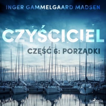 

Czyściciel 6: Porządki