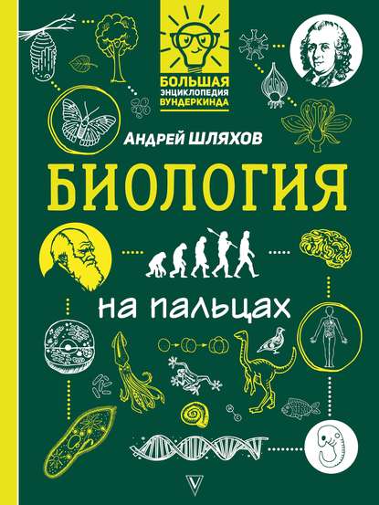Андрей Левонович Шляхов - Биология на пальцах в иллюстрациях