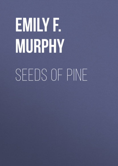 Emily F. Murphy - Seeds of Pine