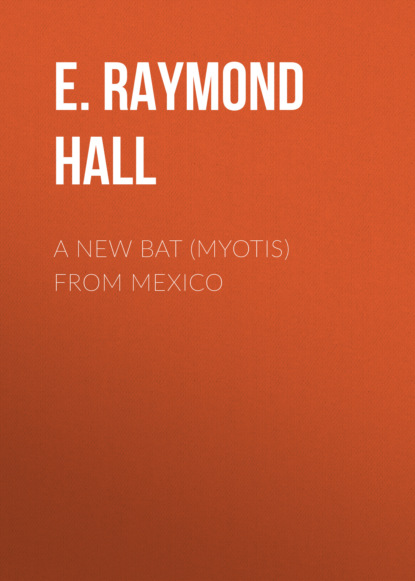 E. Raymond Hall - A New Bat (Myotis) From Mexico