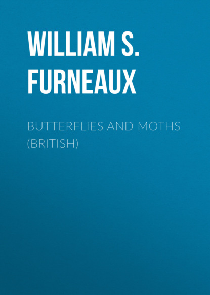 

Butterflies and Moths (British)