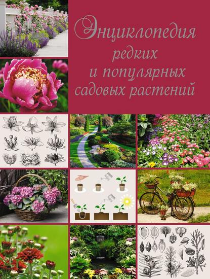 О. В. Яковлева — Энциклопедия редких и популярных садовых растений