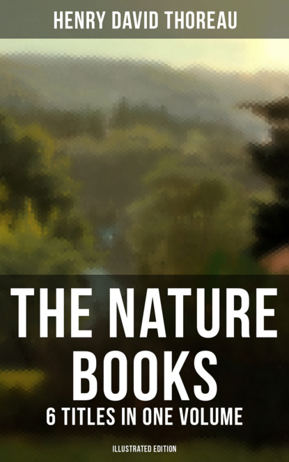 Henry David Thoreau - The Nature Books of Henry David Thoreau – 6 Titles in One Volume (Illustrated Edition)