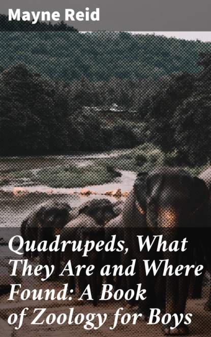 Майн Рид - Quadrupeds, What They Are and Where Found: A Book of Zoology for Boys