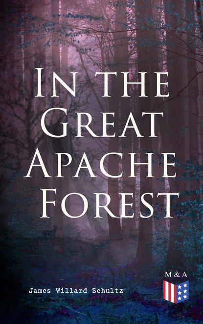 James Willard Schultz - In the Great Apache Forest