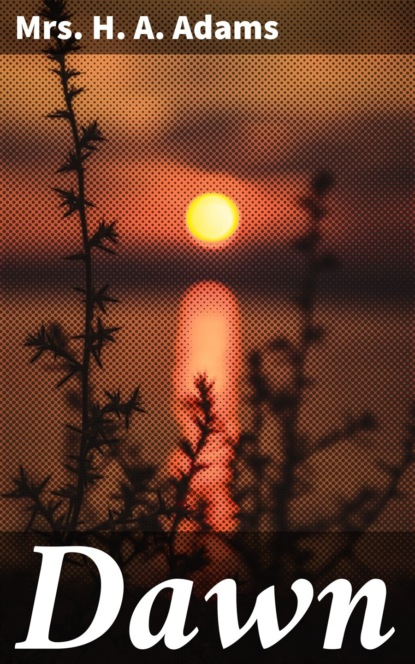 

Dawn