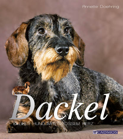 Dackel (Anette Doering). 