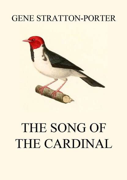 Stratton-Porter Gene - The Song of the Cardinal