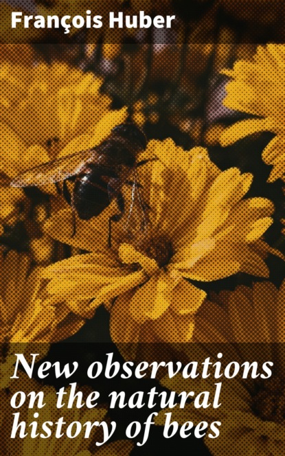 

New observations on the natural history of bees
