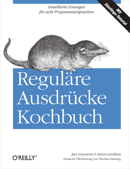 Jan  Goyvaerts - Reguläre Ausdrücke Kochbuch