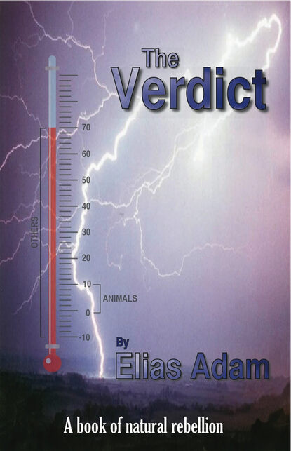

The Verdict