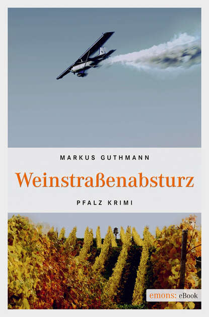 Weinstraßenabsturz (Markus  Guthmann). 