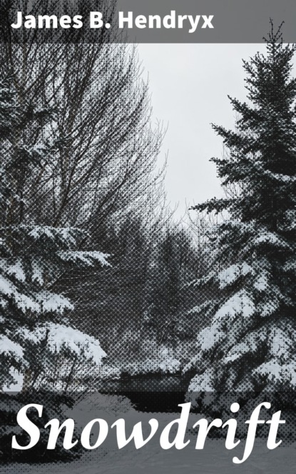 

Snowdrift