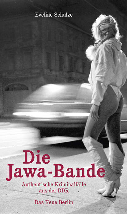 Die Jawa-Bande (Eveline  Schulze). 