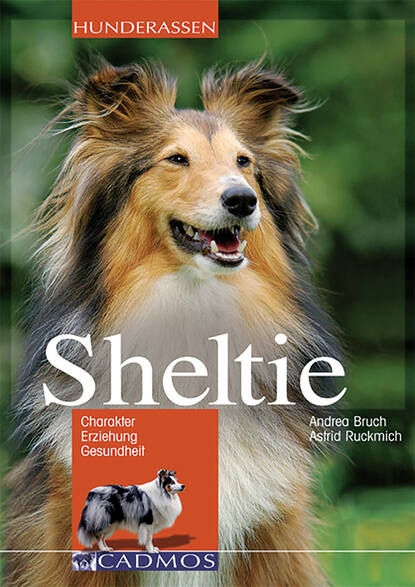 Sheltie (Andrea Bruch). 