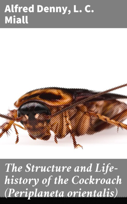 

The Structure and Life-history of the Cockroach (Periplaneta orientalis)